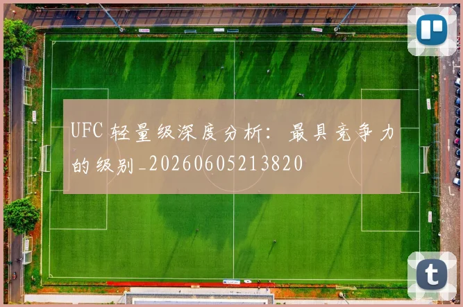 UFC 轻量级深度分析:最具竞争力的级别_20260605213820