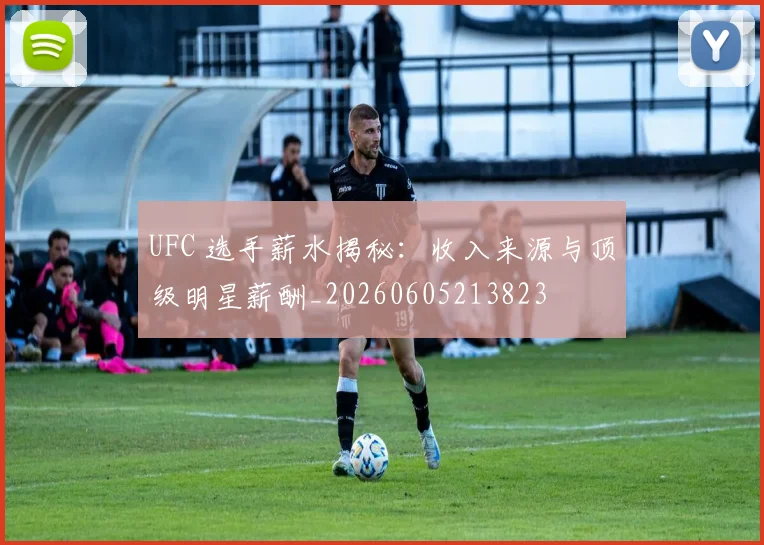 UFC 选手薪水揭秘:收入来源与顶级明星薪酬_20260605213823