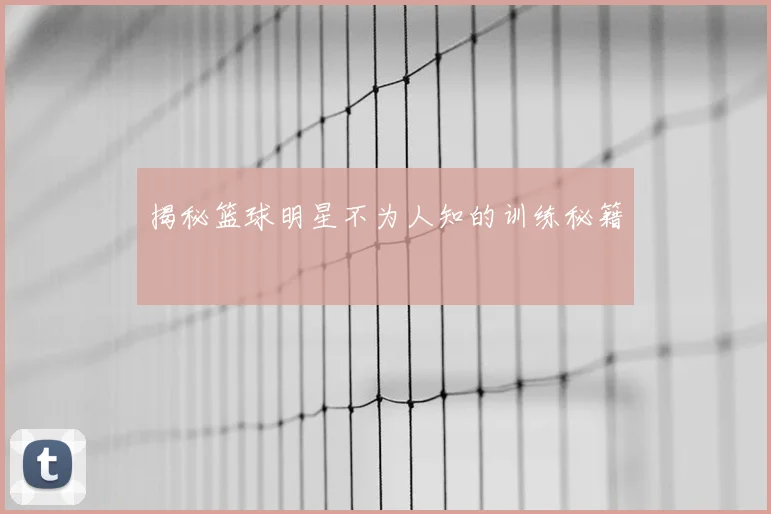 揭秘篮球明星不为人知的训练秘籍