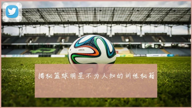 揭秘篮球明星不为人知的训练秘籍